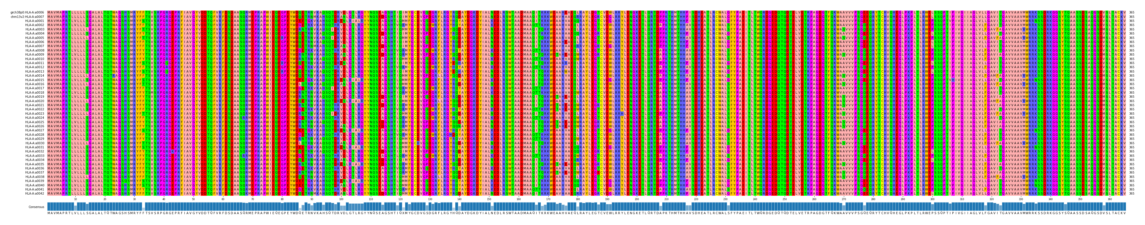 Multiple Alignments (by translate haplotype frequency)