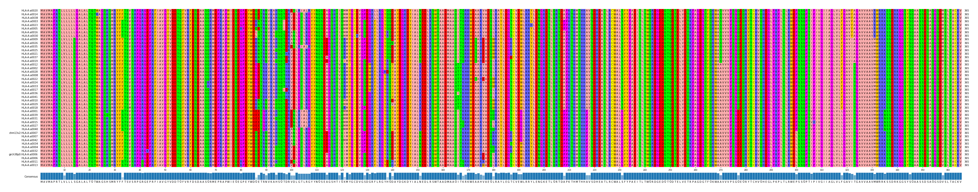 Multiple Alignments (by translate haplotype similarity)