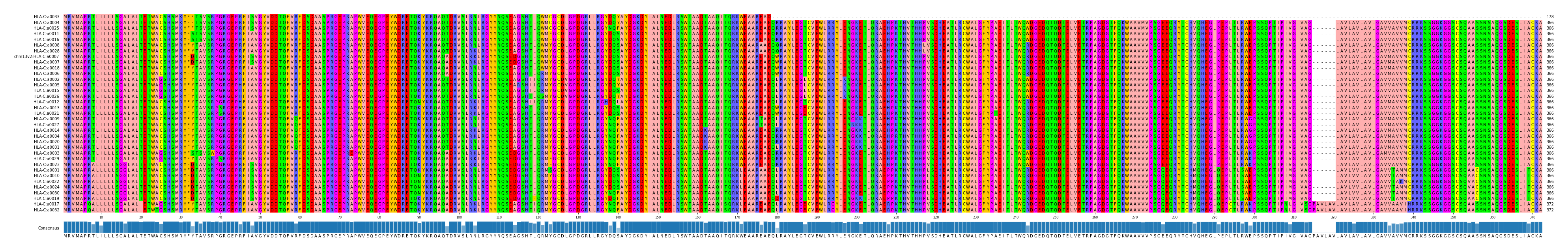 Multiple Alignments (by translate haplotype similarity)
