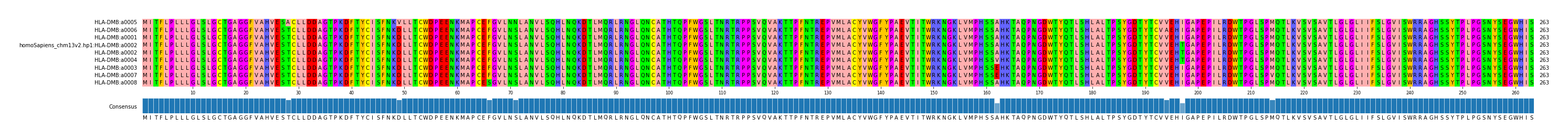 Multiple Alignments (by translate haplotype similarity)
