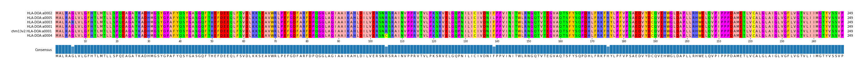 Multiple Alignments (by translate haplotype similarity)