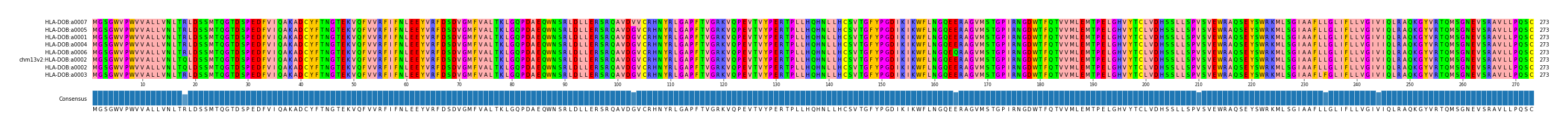 Multiple Alignments (by translate haplotype similarity)