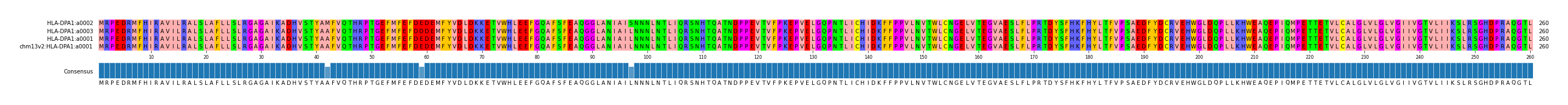 Multiple Alignments (by translate haplotype similarity)