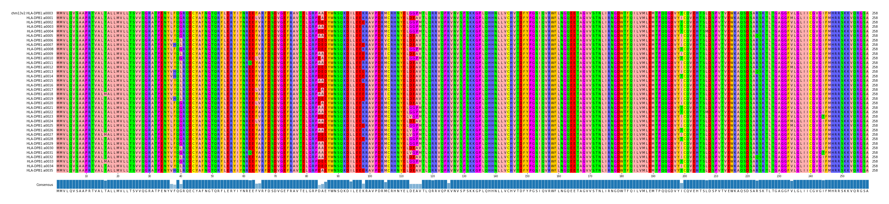 Multiple Alignments (by translate haplotype frequency)