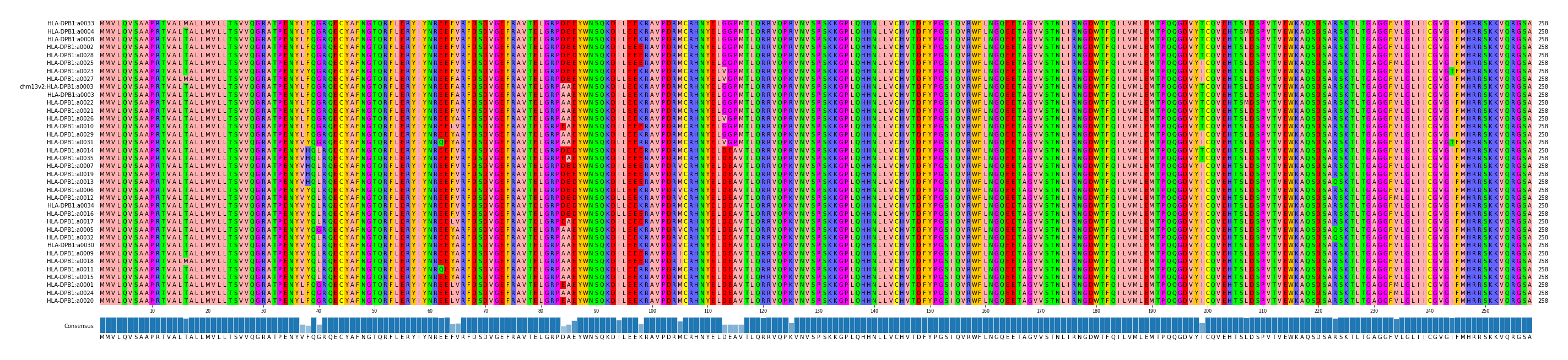 Multiple Alignments (by translate haplotype similarity)