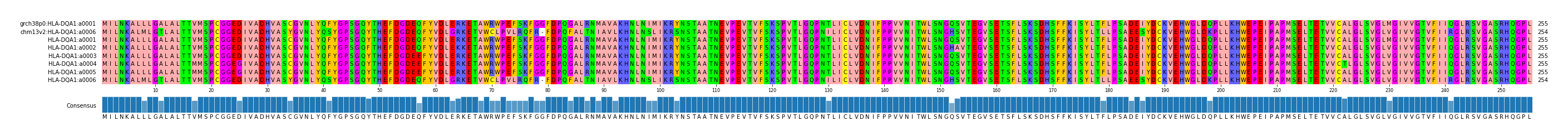 Multiple Alignments (by translate haplotype frequency)