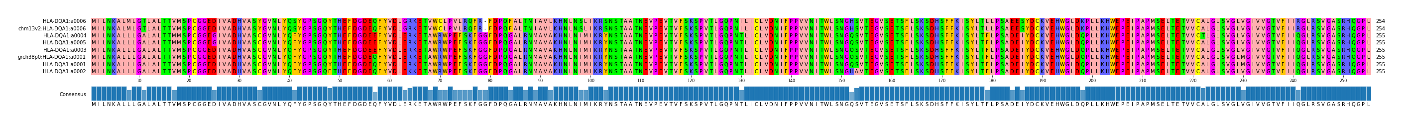 Multiple Alignments (by translate haplotype similarity)