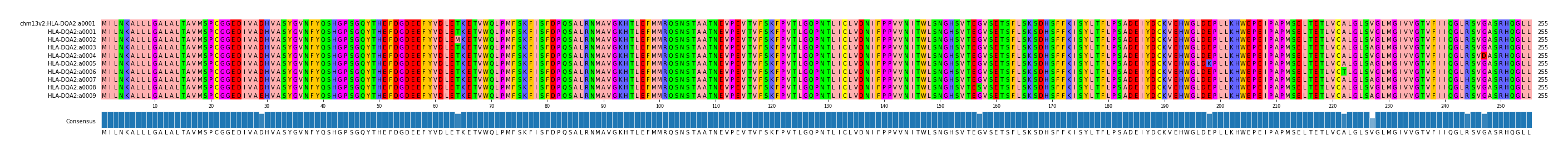 Multiple Alignments (by translate haplotype frequency)