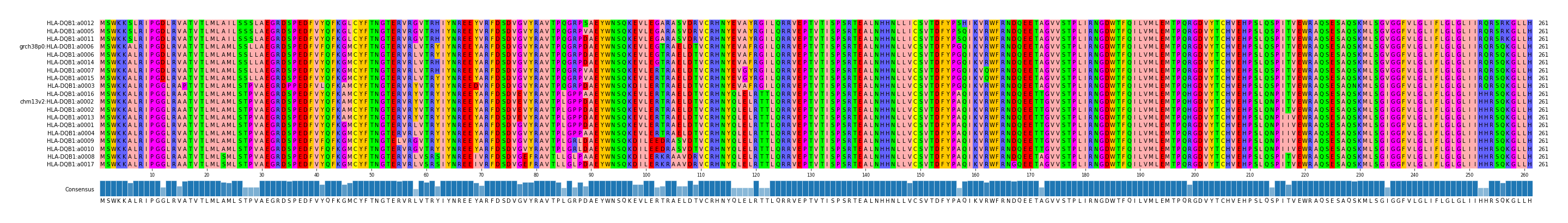 Multiple Alignments (by translate haplotype similarity)