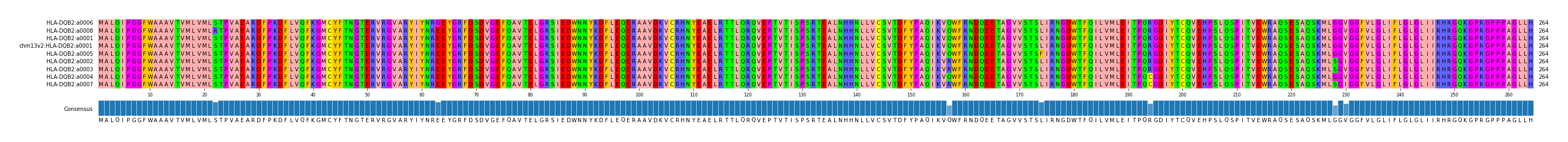 Multiple Alignments (by translate haplotype similarity)