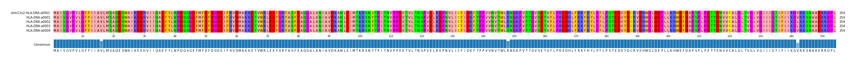 Multiple Alignments (by translate haplotype frequency)