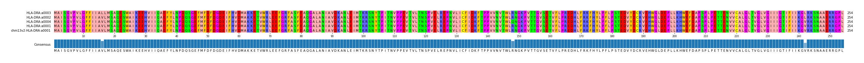 Multiple Alignments (by translate haplotype similarity)