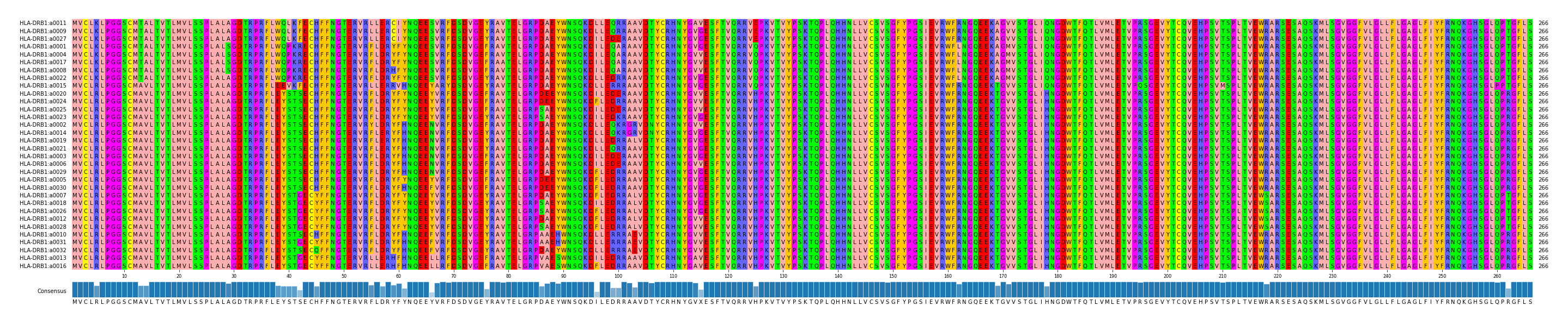 Multiple Alignments (by translate haplotype similarity)
