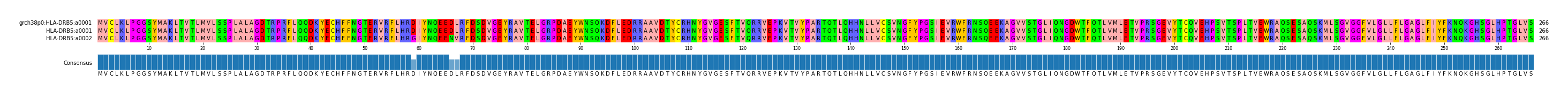 Multiple Alignments (by translate haplotype similarity)
