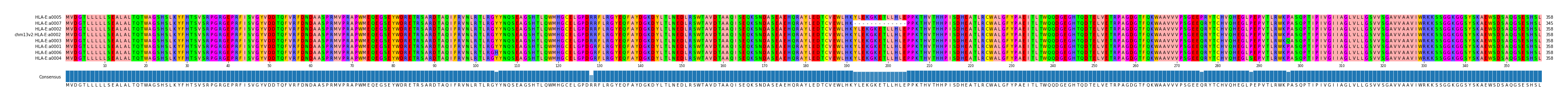 Multiple Alignments (by translate haplotype similarity)