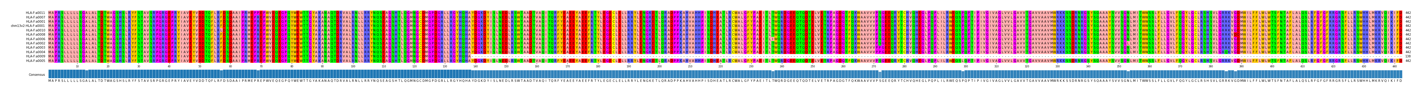 Multiple Alignments (by translate haplotype similarity)