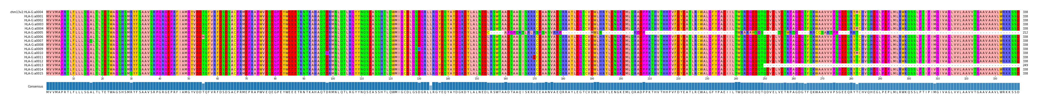 Multiple Alignments (by translate haplotype frequency)