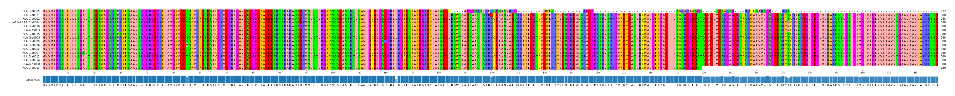Multiple Alignments (by translate haplotype similarity)