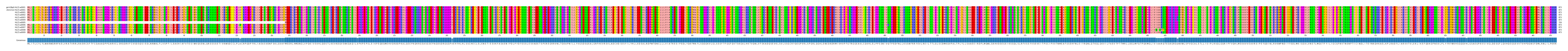 Multiple Alignments (by translate haplotype frequency)