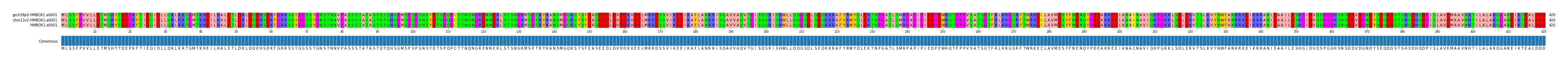 Multiple Alignments (by translate haplotype similarity)