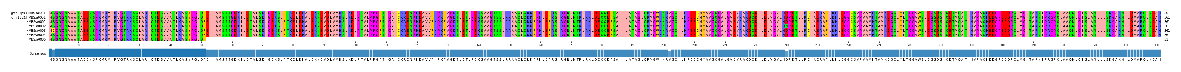 Multiple Alignments (by translate haplotype frequency)
