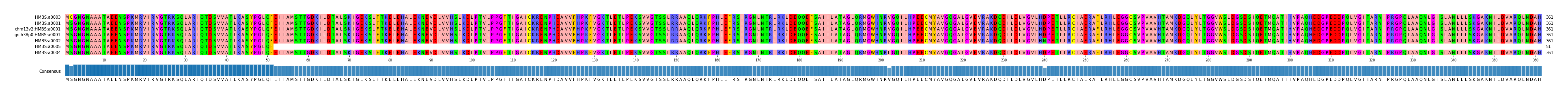 Multiple Alignments (by translate haplotype similarity)