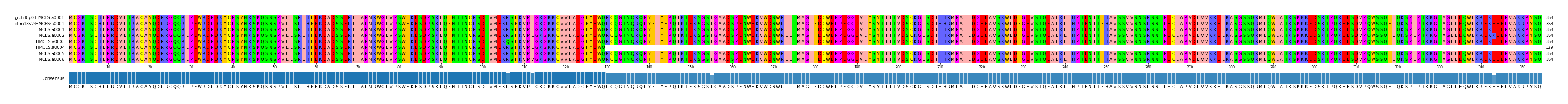 Multiple Alignments (by translate haplotype frequency)