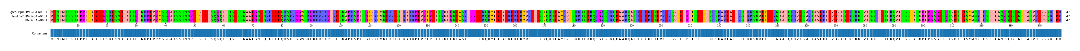 Multiple Alignments (by translate haplotype similarity)