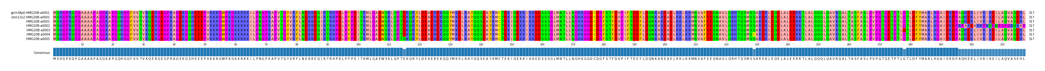 Multiple Alignments (by translate haplotype frequency)
