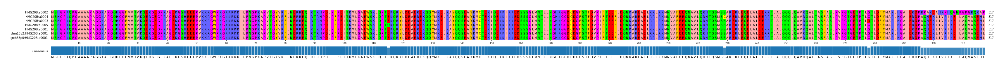 Multiple Alignments (by translate haplotype similarity)