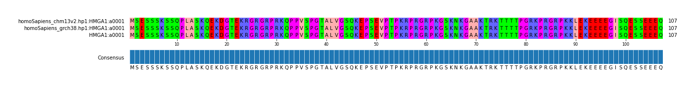 Multiple Alignments (by translate haplotype similarity)