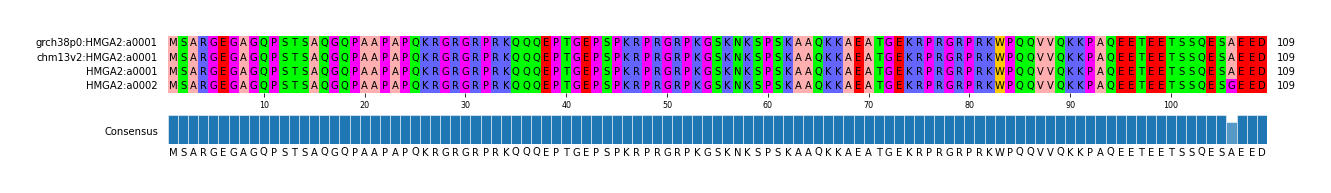 Multiple Alignments (by translate haplotype similarity)