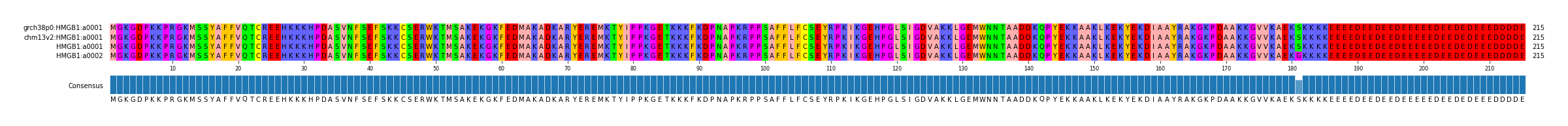 Multiple Alignments (by translate haplotype similarity)