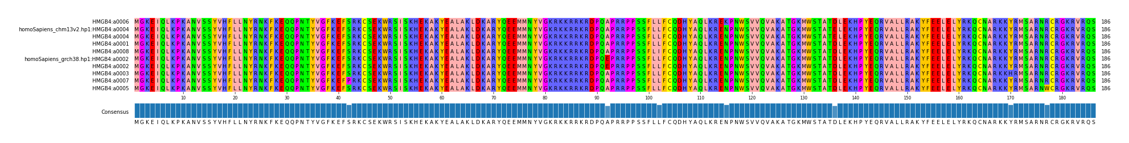 Multiple Alignments (by translate haplotype similarity)