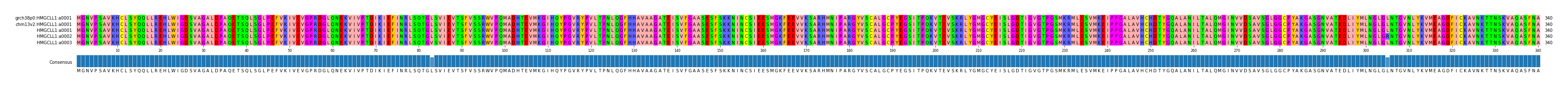 Multiple Alignments (by translate haplotype frequency)