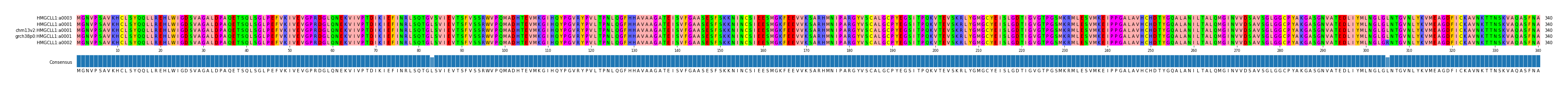 Multiple Alignments (by translate haplotype similarity)