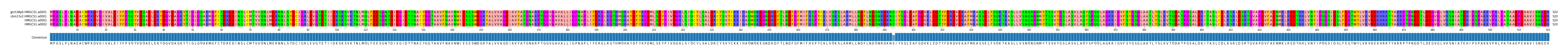 Multiple Alignments (by translate haplotype similarity)