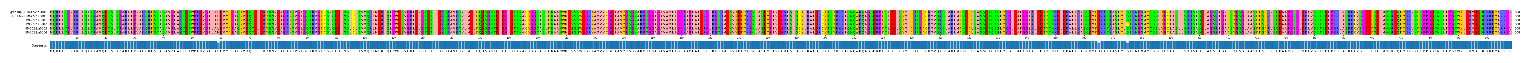 Multiple Alignments (by translate haplotype frequency)