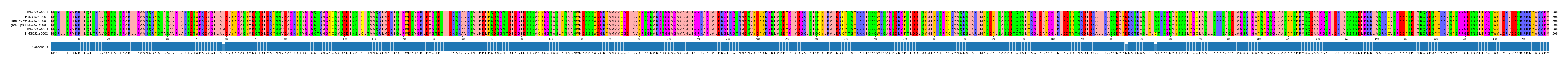 Multiple Alignments (by translate haplotype similarity)