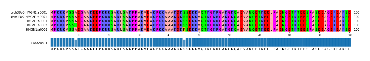 Multiple Alignments (by translate haplotype frequency)