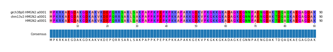 Multiple Alignments (by translate haplotype similarity)