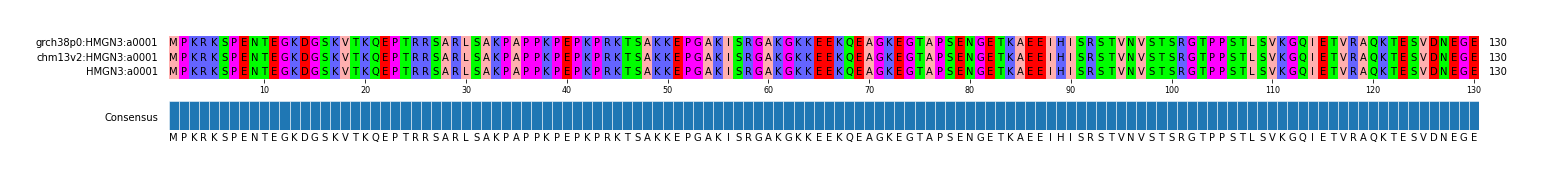 Multiple Alignments (by translate haplotype similarity)
