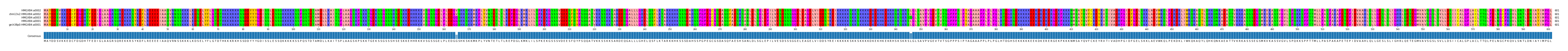 Multiple Alignments (by translate haplotype similarity)