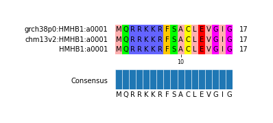 Multiple Alignments (by translate haplotype similarity)