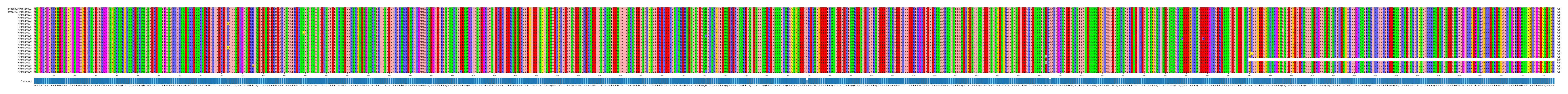 Multiple Alignments (by translate haplotype frequency)