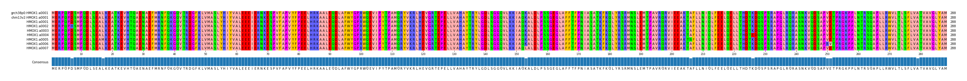 Multiple Alignments (by translate haplotype frequency)