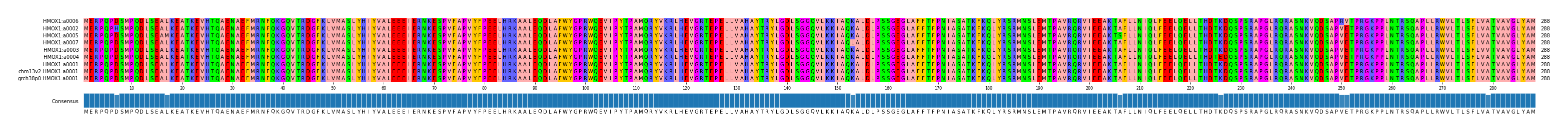 Multiple Alignments (by translate haplotype similarity)