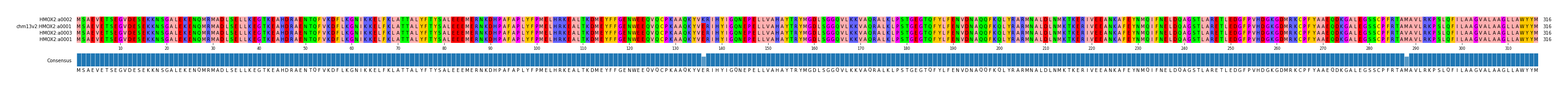 Multiple Alignments (by translate haplotype similarity)