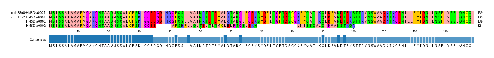 Multiple Alignments (by translate haplotype frequency)