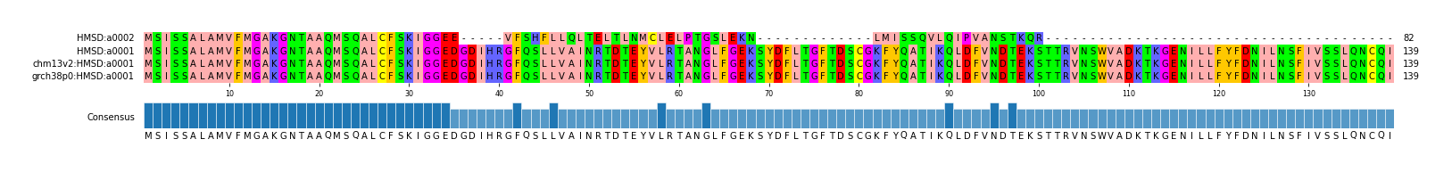 Multiple Alignments (by translate haplotype similarity)